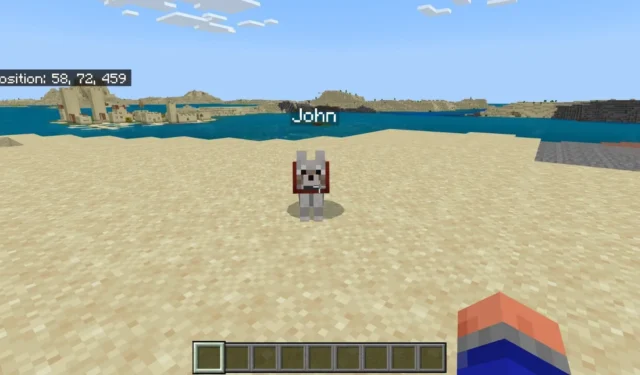 A Complete Guide to Teleporting Pets in Minecraft