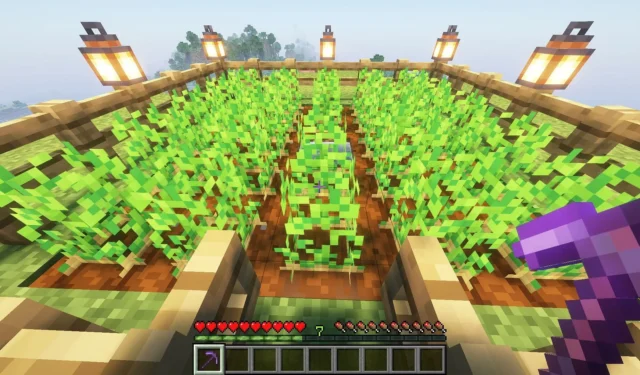 5 Essential Minecraft Tips to Save Resources and Improve Gameplay