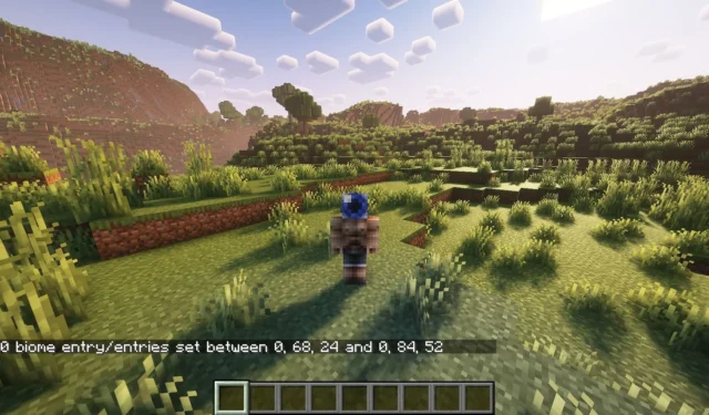 Instructions for Changing Minecraft Biomes with Commands