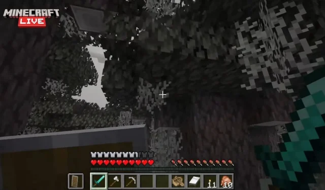 Discover All the New Minecraft Blocks and Items Revealed at Live 2024
