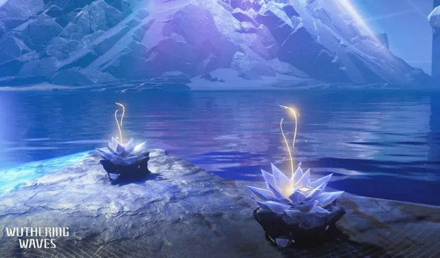 Wuthering Waves Nova Farming Routes and Location Guide