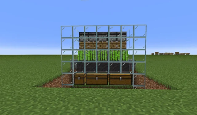 Beginner’s Guide to Creating an Easy Minecraft Sugar Cane Farm