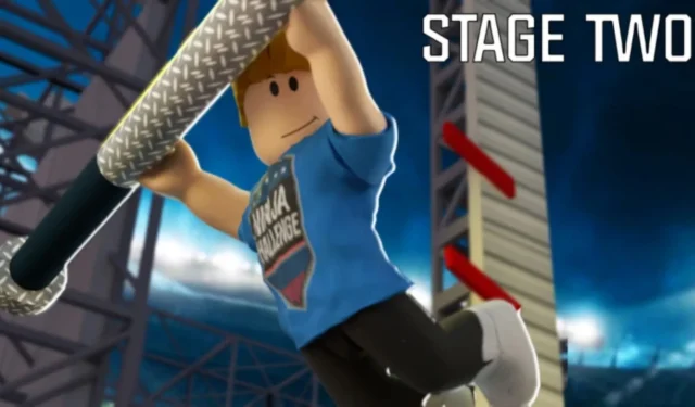 Ultimate Guide to Ninja Challenge Stage 2
