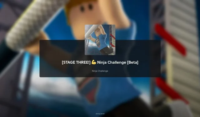 Complete Guide to Ninja Challenge Stage 3