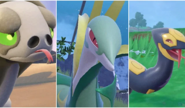 Ranking All Snake Pokémon: From Best to Worst