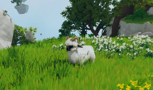 Aloft Guide: Tips for Acquiring Animals
