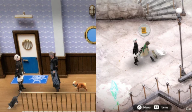 Fantasian Neo Dimension: Complete Guide to Cat and Dog Locations