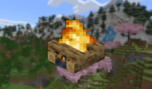 Minecraft Guide: Steps to Put Out a Campfire