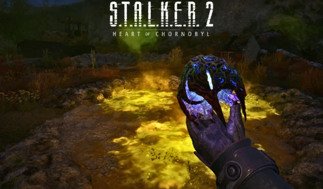 Guide to Obtaining the Liquid Rock Legendary Artifact in Stalker 2