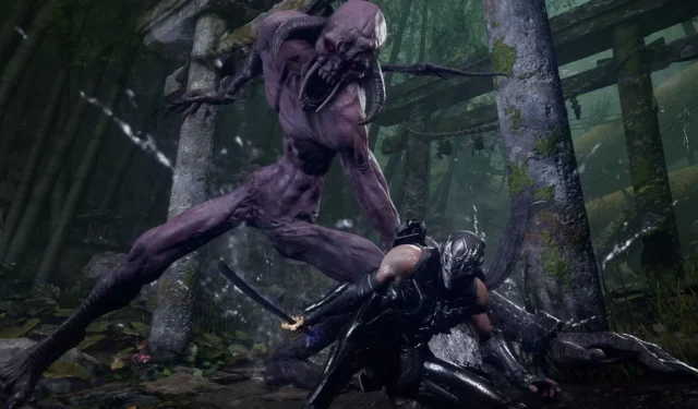 Phil Spencer Inspires Ninja Gaiden 4 Collaboration Concept