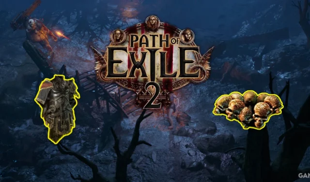Enhanced Loot Filter in Path of Exile 2 Simplifies Rare Drop Discovery