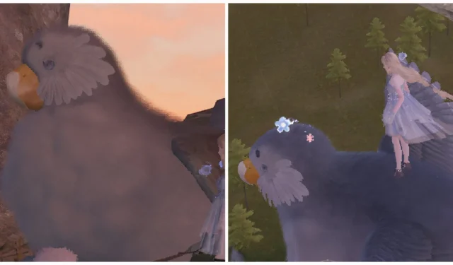 Infinity Nikki Guide: Finding and Riding the Sky Monarch