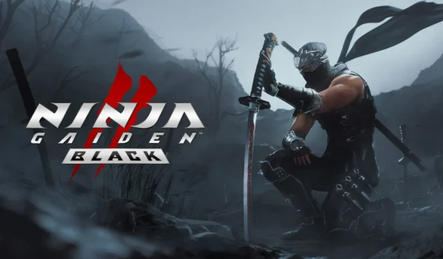 Ninja Gaiden 2 Black Weapons Upgrade Guide: Should You Enhance All Weapons?