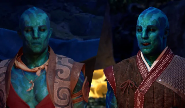 Avowed: A Guide on Changing Your Companion’s Outfits