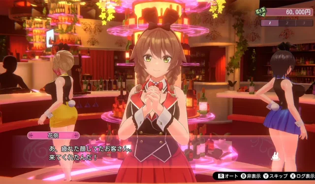 Bunny Garden Costume Change Cheat Code for Game Players