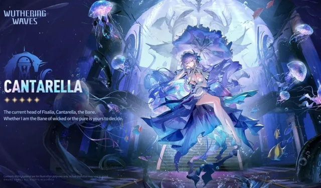 Cantarella: The Jellyfish-Themed Character in New Wuthering Waves