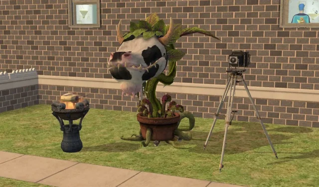 The Sims 2 Guide: Joining a College Secret Society