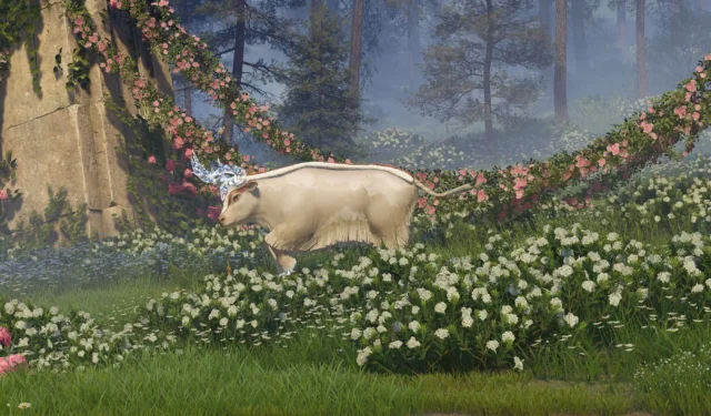 Infinity Nikki Quest Guide: Exploring Deep Into The Forest