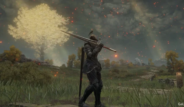 Elden Ring: Complete Guide to All Swords