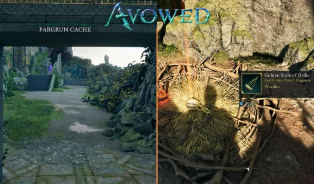 Avowed Guide: Location of the Golden Scale of Order in Pargrun Cache