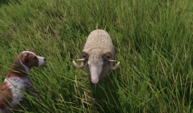 Kingdom Come: Deliverance 2 Guide – Complete Walkthrough for ‘Carrot On A Stick’