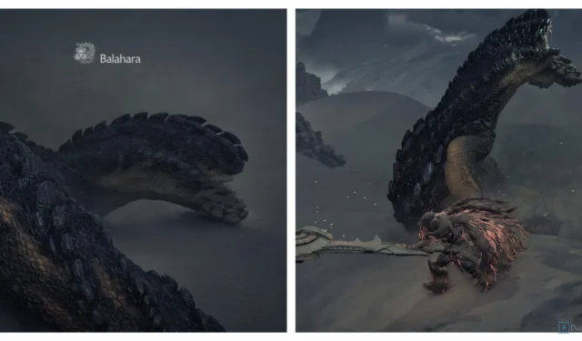How to Defeat Balahara in Monster Hunter Wilds