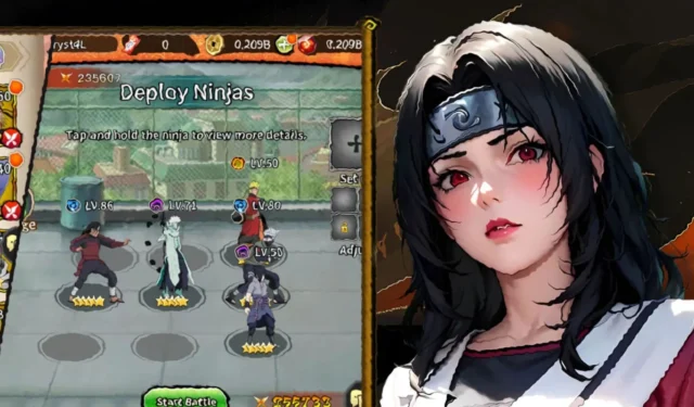 Ninjutsu Origin Codes: Insights and Updates for February 2025