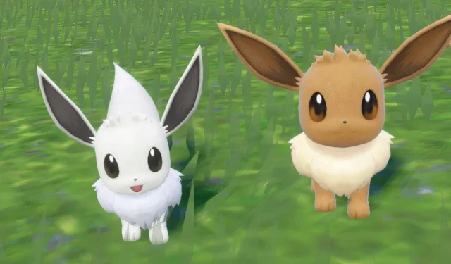 New Eevee Kitchen Products Released by Pokemon