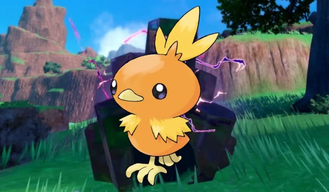 Interesting Torchic Detail Noticed by Pokemon Scarlet and Violet Players