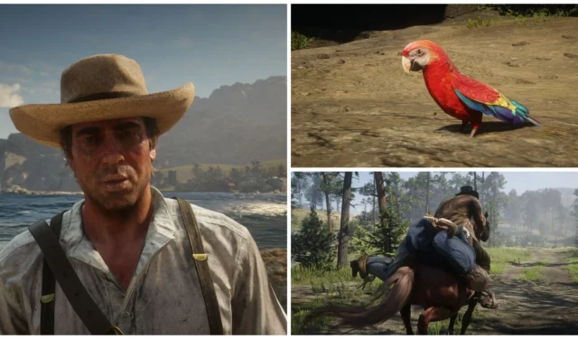 Red Dead Redemption 2 Chapter 5: Complete Guide to All Missable Content