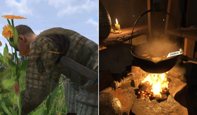 Ultimate Guide to Alchemy and Herbalism in Kingdom Come: Deliverance 2