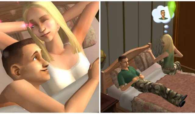 The Sims 2 Guide: WooHoo and Trying for a Baby Explained