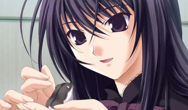 Top Visual Novels That Need a Remaster Following Ever 17