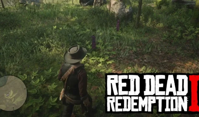 How to Locate Hummingbird Sage in Red Dead Redemption 2