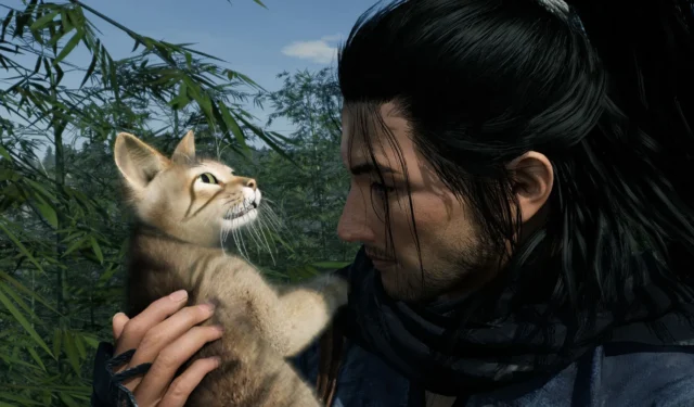 Issues Encountered in the Ronin PC Port Release
