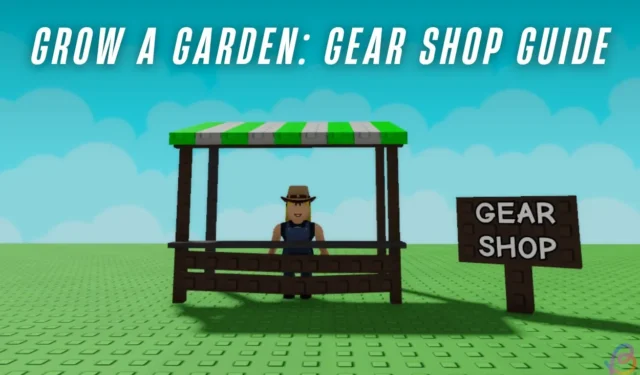 Essential Guide to Buying Garden Gear: Which Equipment Should You Choose?