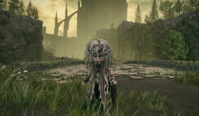 Ultimate Elden Ring Beast Claw Build for Shadow of the Erdtree