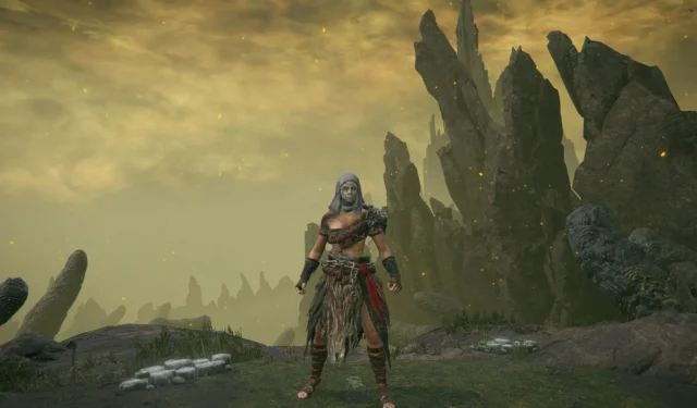 Ultimate Elden Ring Dryleaf Arts Build for Shadow of the Erdtree