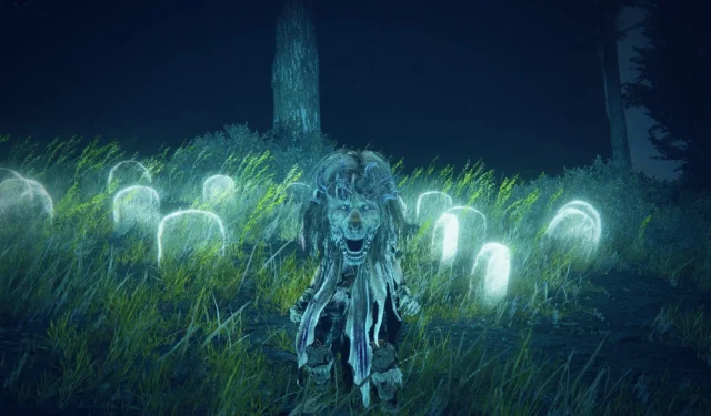 Locations of Larval Tears in Elden Ring: Shadow of the Erdtree