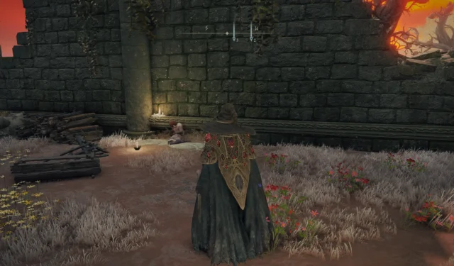 Elden Ring Quest Guide: Obtain Unalloyed Gold Needle through Gowry and Millicent