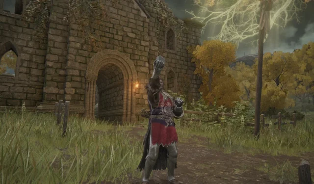 Top Elden Ring Spirit Ashes and Their Locations