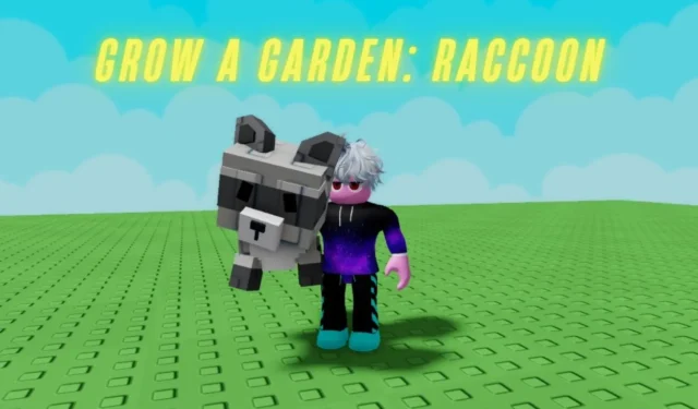 How to Unlock the Raccoon in Grow a Garden on Roblox