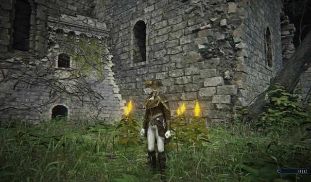 Guide to the Nightreign Duchess Build in Elden Ring