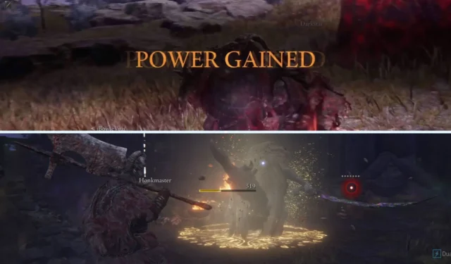 Guide to the Fell Omen Raid in Elden Ring’s Nightreign