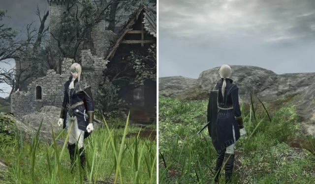 Elden Ring Nightreign Guide: Tips for Playing as Duchess