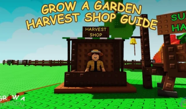 Summer Garden Shop Guide: Discover All Available Gardening Items