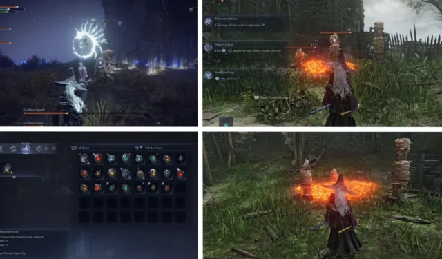 Elden Ring Nightreign Guide: Tips on Playing as a Recluse