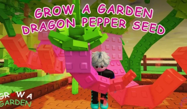 How to Obtain Dragon Pepper in Roblox Grow a Garden