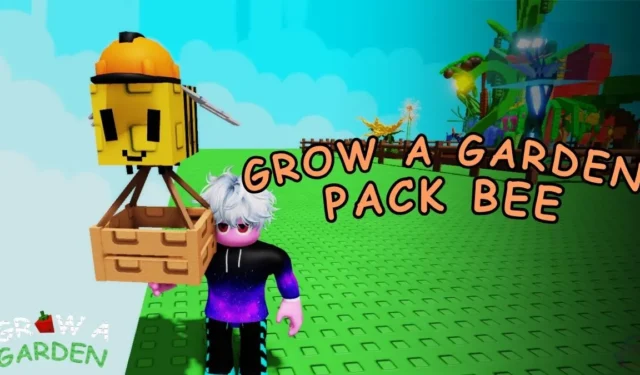 Expand Your Backpack Space: Tips for Growing a Garden Pack Bee