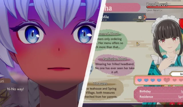 Rune Factory: Guardians of Azuma – Tips for Building Strong Bonds with Your Party Members